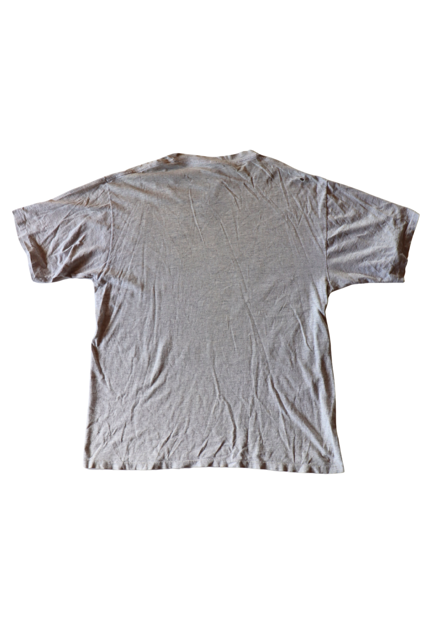 Vintage Dolphins Tee┃Size XL