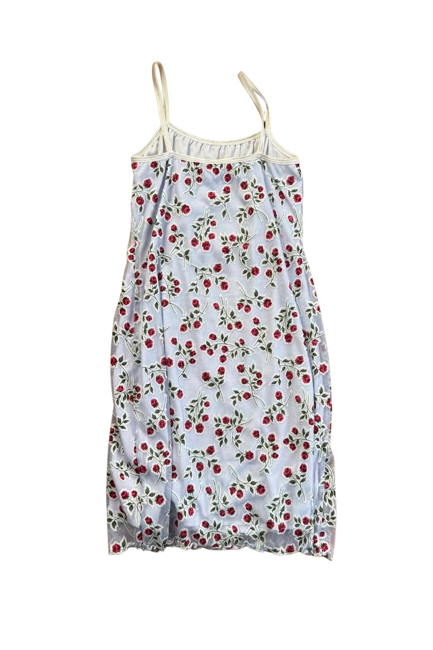 Vintage Baby Blue Rose Slip