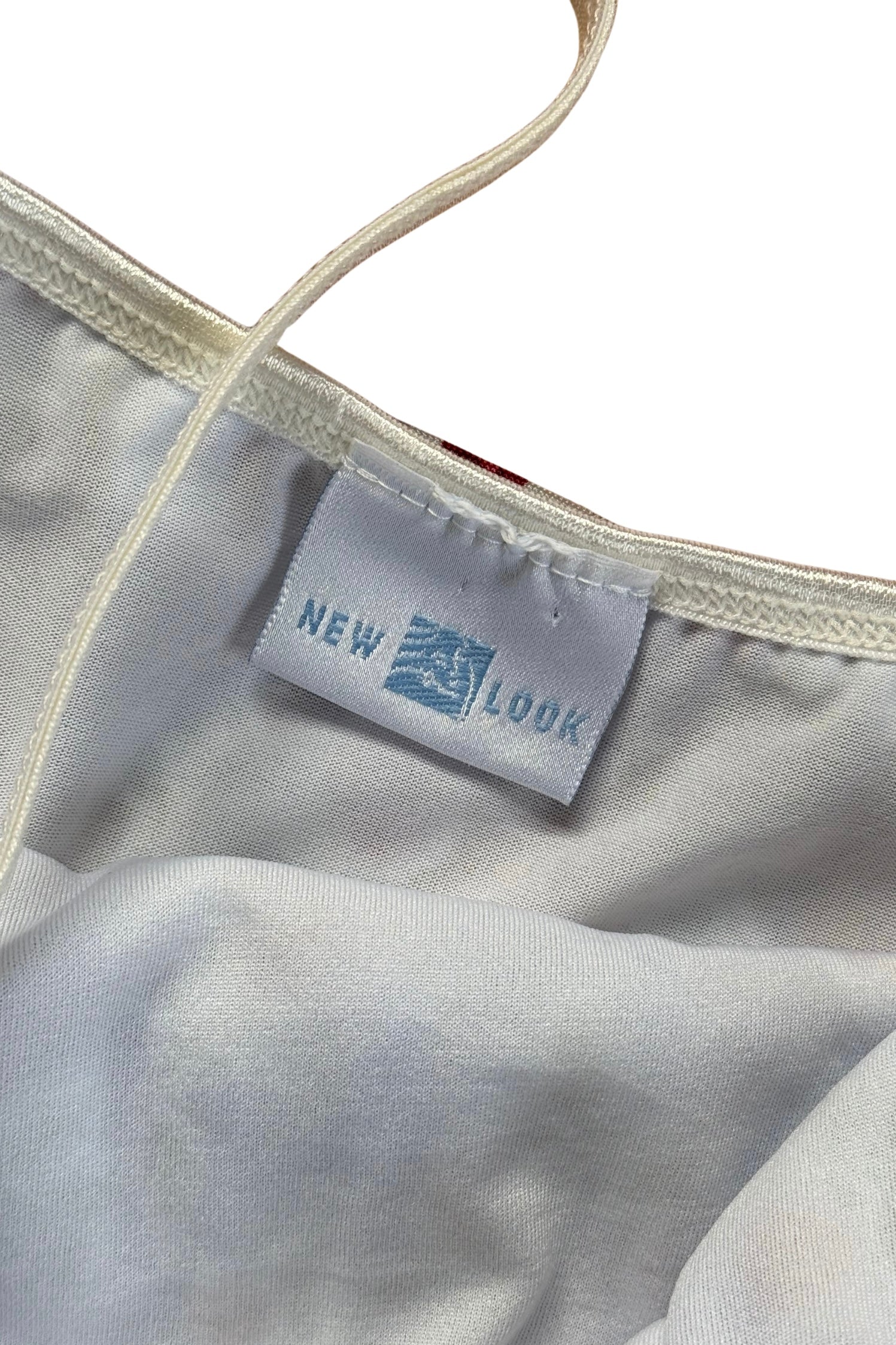 Vintage Baby Blue Rose Slip