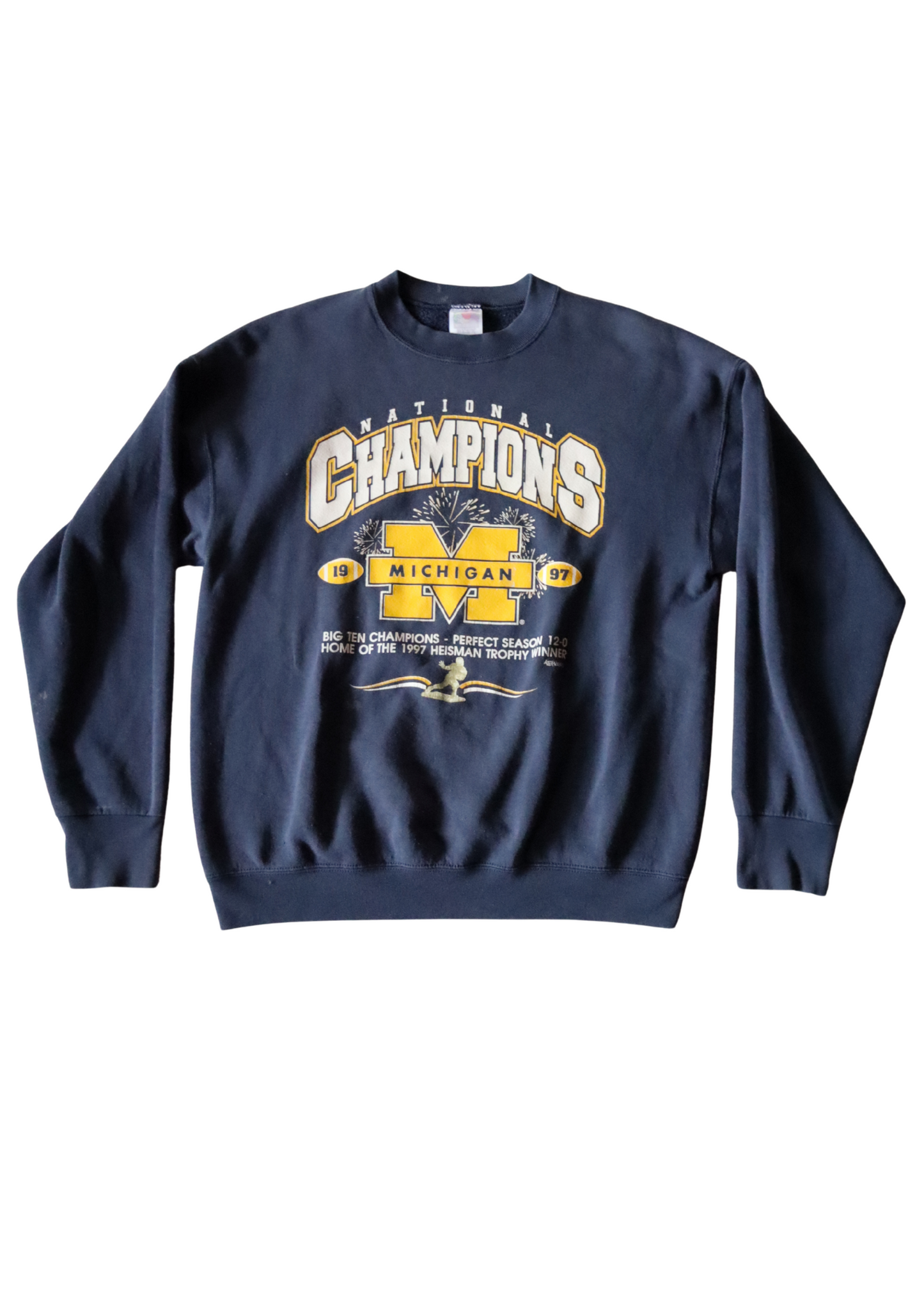 Vintage Michigan Crew┃Size L