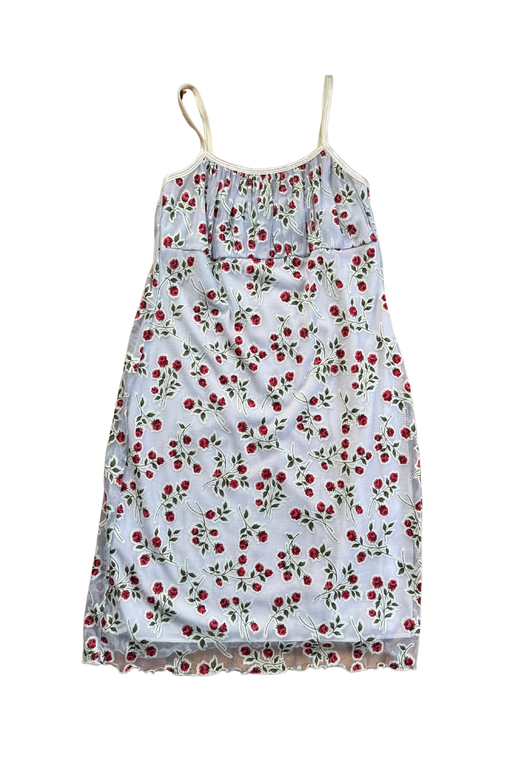 Vintage Baby Blue Rose Slip