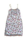 Vintage Baby Blue Rose Slip